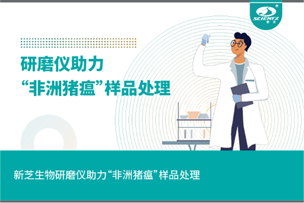 HB火博生物组织研磨仪助力“非洲猪瘟”样品处理