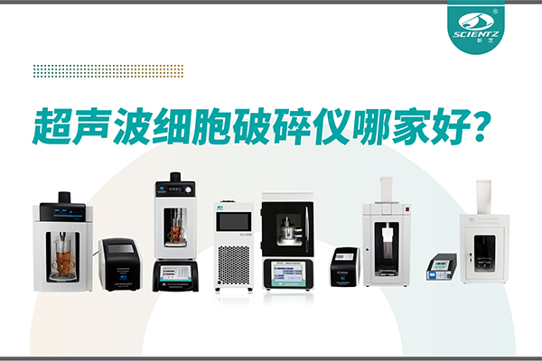 超声波破碎仪厂家推荐：深耕本土，服务全球-宁波HB火博生物